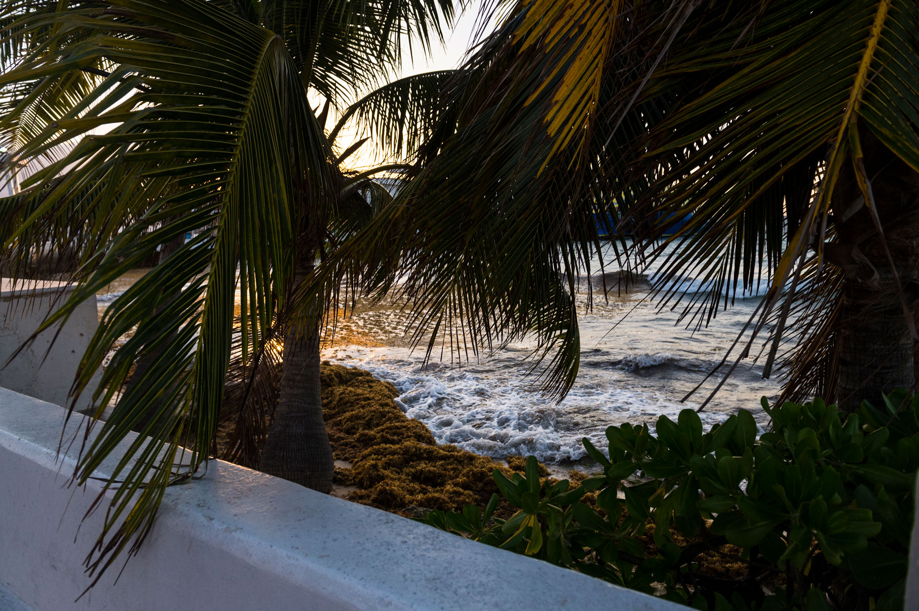 Ferry Cozumel - Playa del Carmen